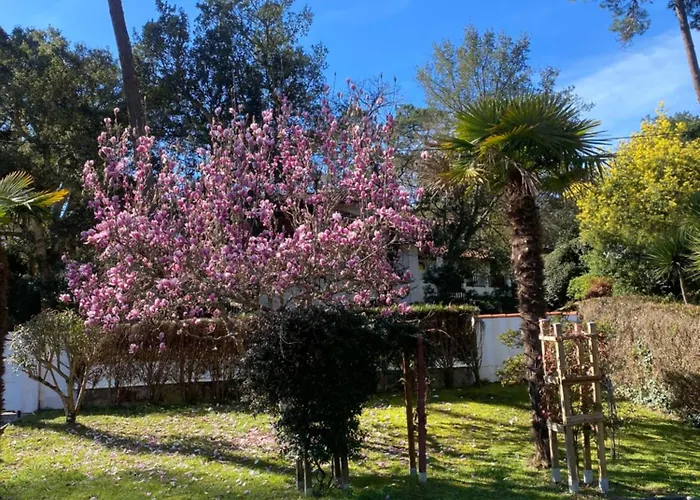 Havre De Paix Lejlighed *